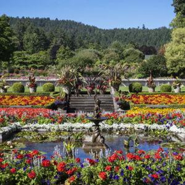 Craigdarroch Castle and Butchart Gardens Excursion