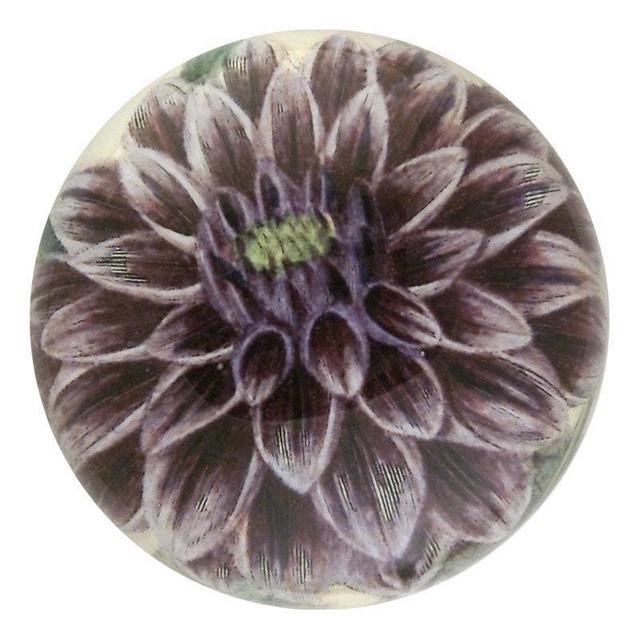 John Derian Purple Dahlia Paper Weight