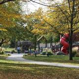 Howard Amon Park