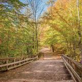 Explore Park