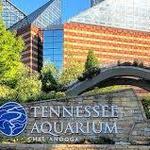 Tennessee Aquarium