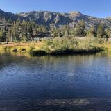 Annett's Mono Village