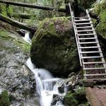 Hike the Dipsea Trail
