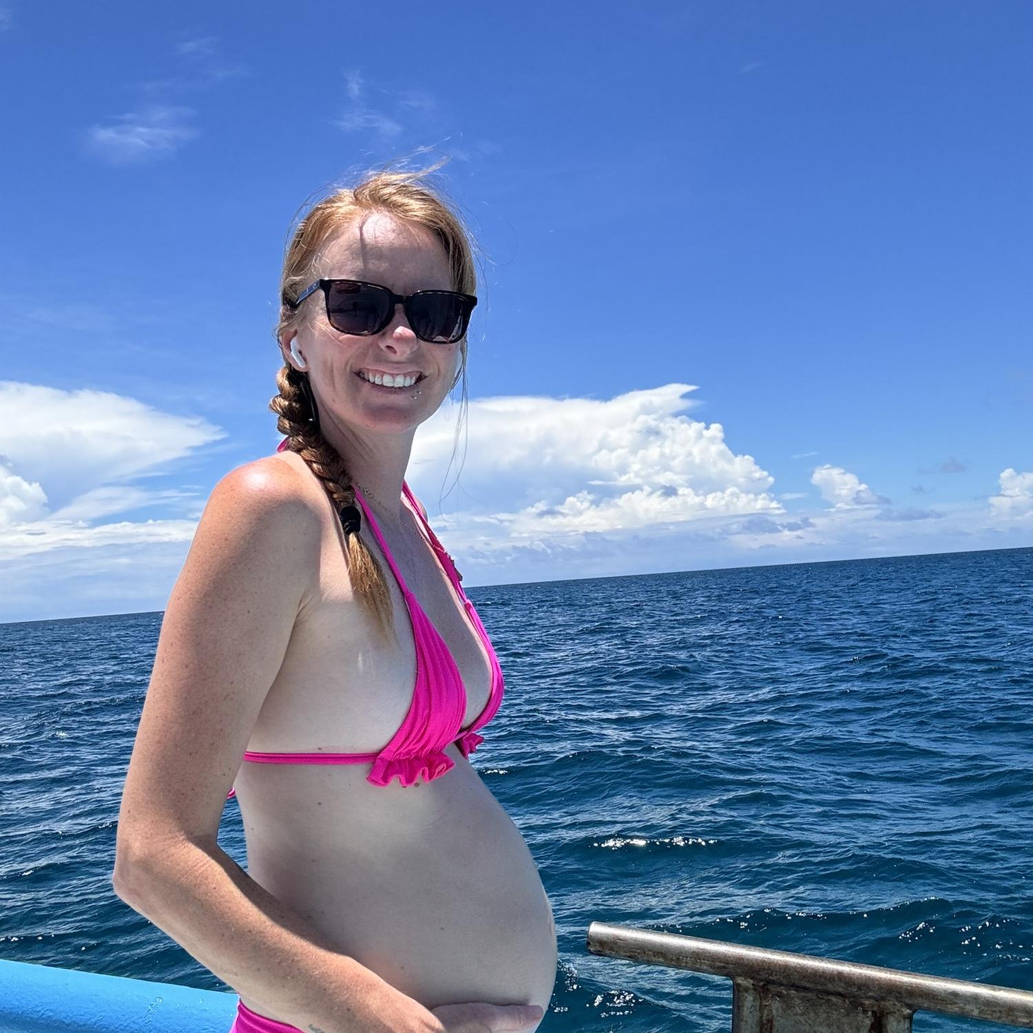 Dolphin Dream Trip