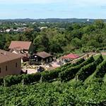 Wollersheim Winery & Distillery