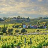 Visit Temecula Valley