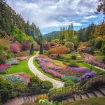 The Butchart Gardens