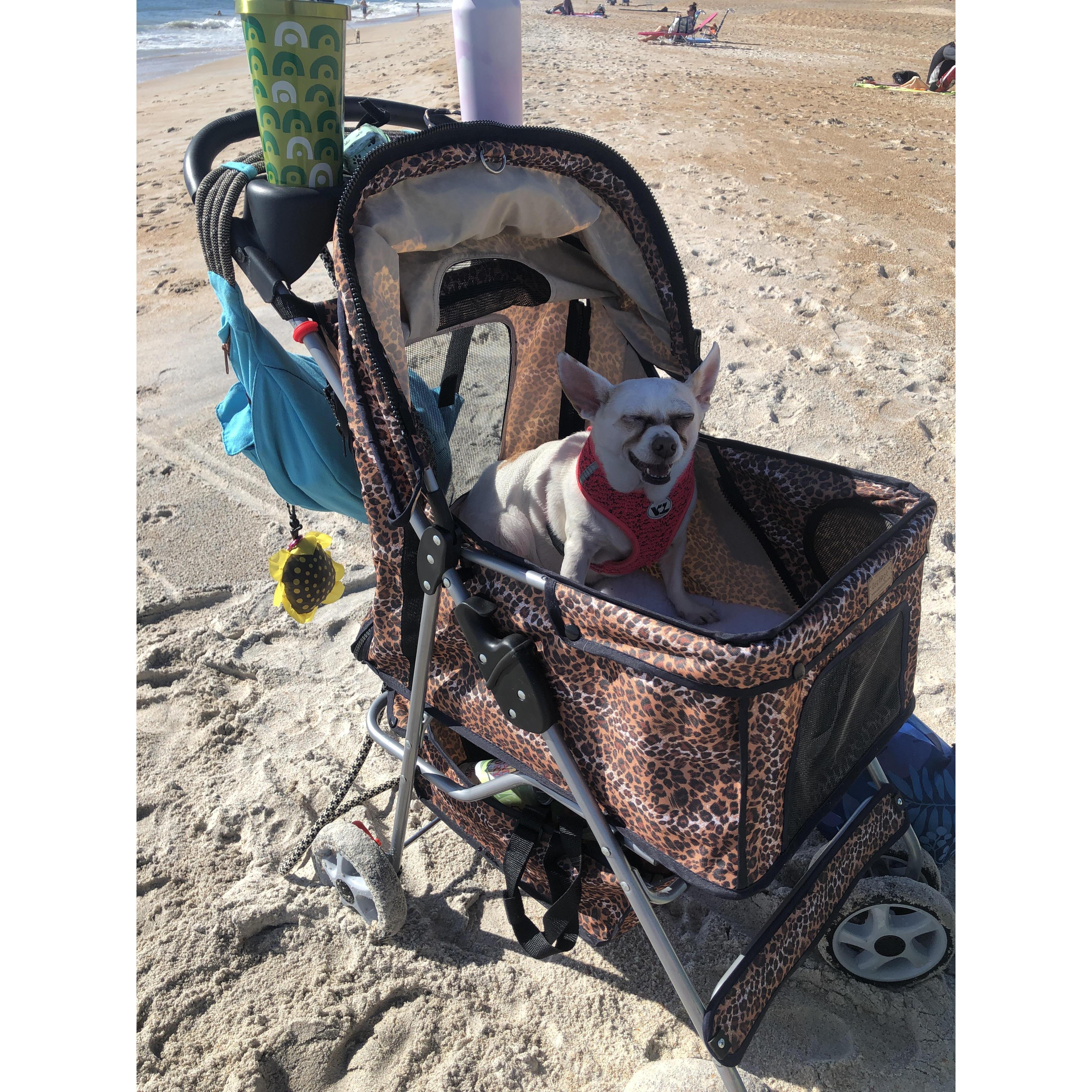 That time we brought Zooey in her stroller