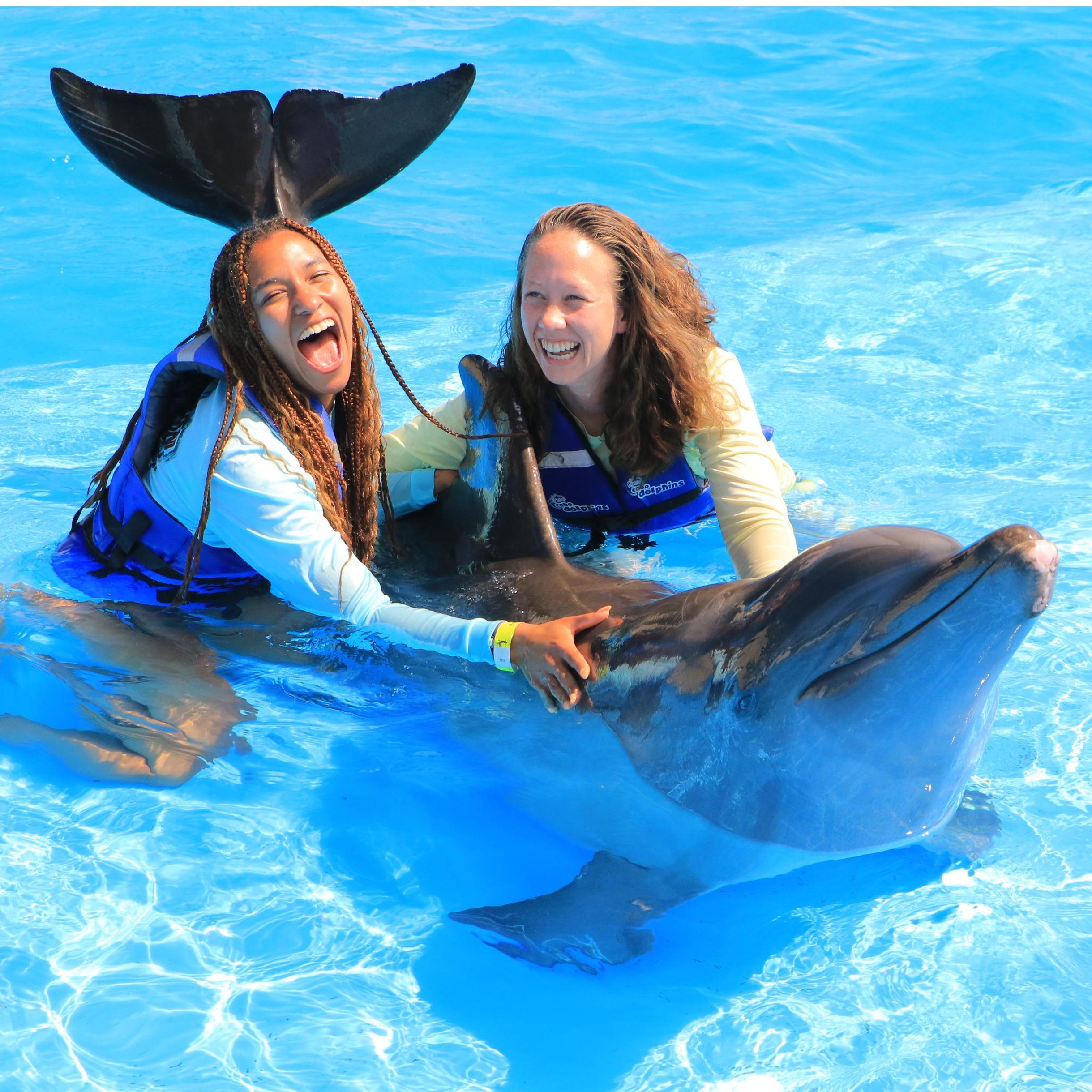 Swimming with dolphins in Cabo 2021