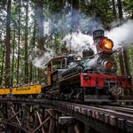 Roaring Camp