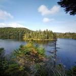 Sterling Pond Trail
