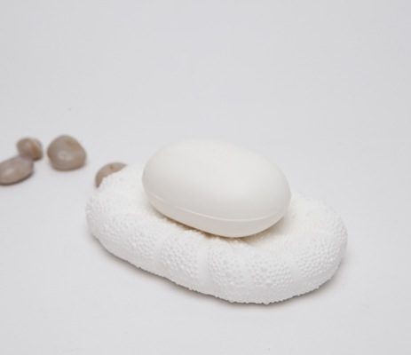 Sea Urchin Soap Dish