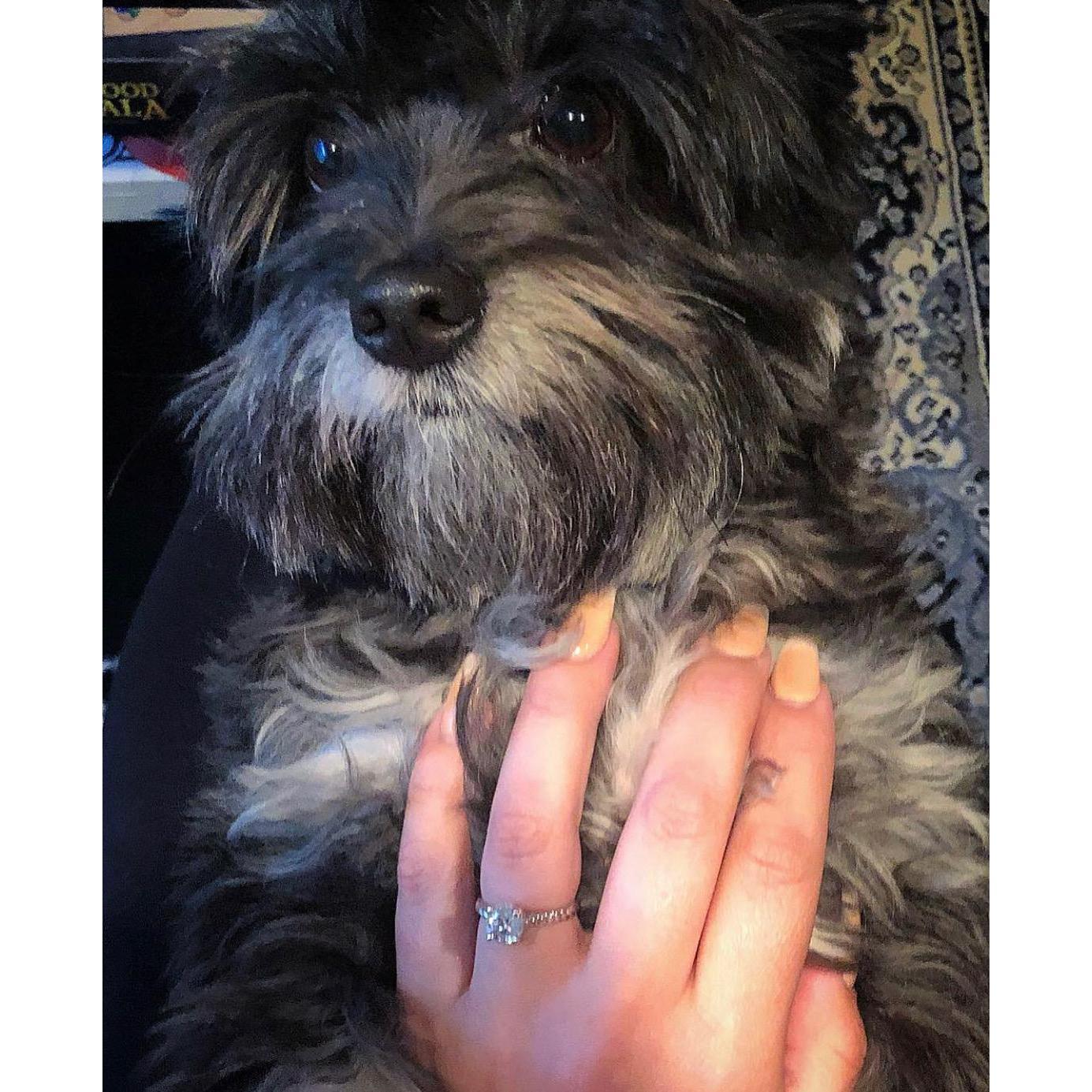 February 16th, 2019...Brody gave me away for good and of course I said YES!!!
