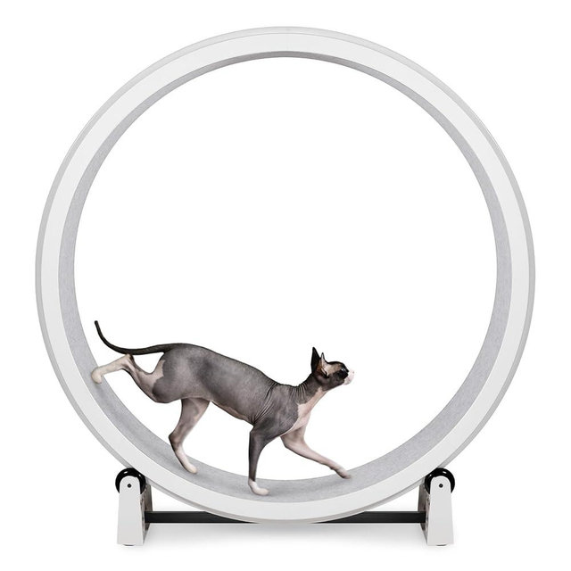 One Fast Cat - Cat Exercise Wheel - Gen. 7 - Safe 48" Diameter - Made in The USA - White Wheel with Gray Felt Traction Pads and Solid Black Inline Wheels