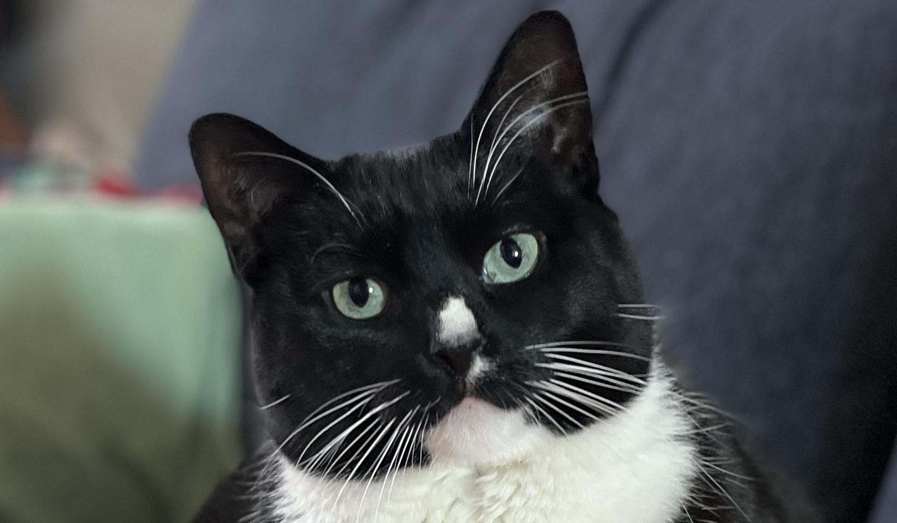 The Wedding Website of Ali Pontieri and Jonathan Steinbiser