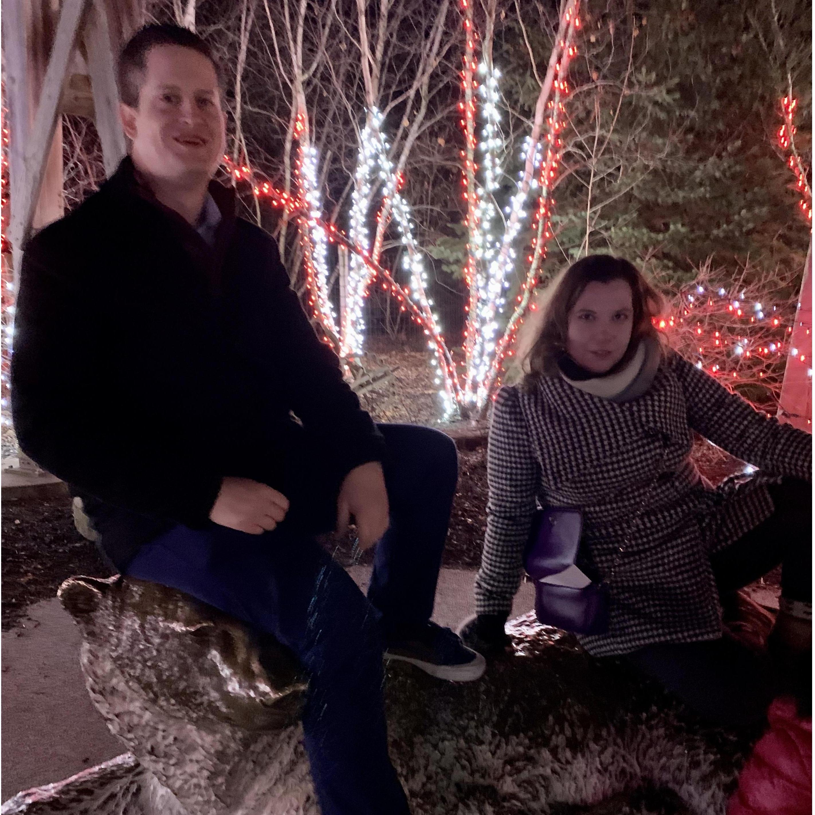 Zoo lights!