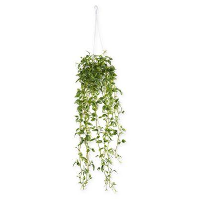 Nearly Natural 34-Inch Variegated Wandering Jew Artificial Plant with Hanging Basket
