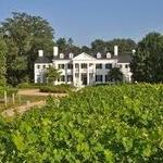 Keswick Vineyards