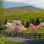 Shenandoah National Park