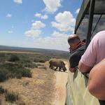Buffelsfontein Game & Nature Reserve