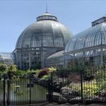 Belle Isle