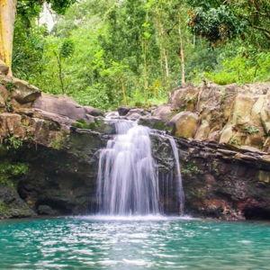 Waterfall & Rainforest Hiking Adventure in Maui