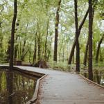 Ritchey Woods Nature Preserve