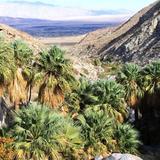Hellhole Canyon Trail