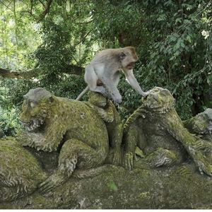 Sacred Monkey Forest Sanctuary