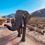 Aquila Private Game Reserve