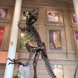 Denver Museum of Nature & Science