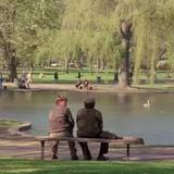 Boston Common & Public Garden