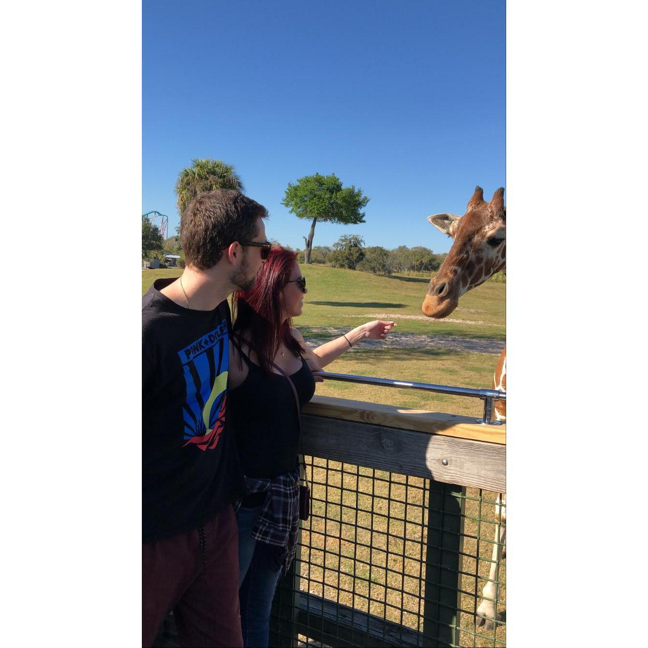 The 2nd time he took me to Florida in the same month.