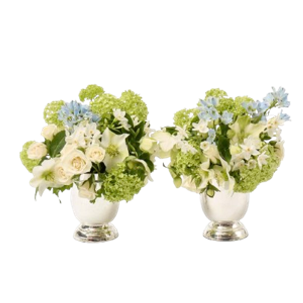 Mrs. Alice Silver Footed Vase (Set of 2)