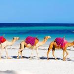 Diani Beach