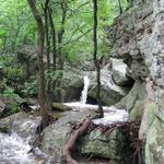 Lake Mineral Wells State Park