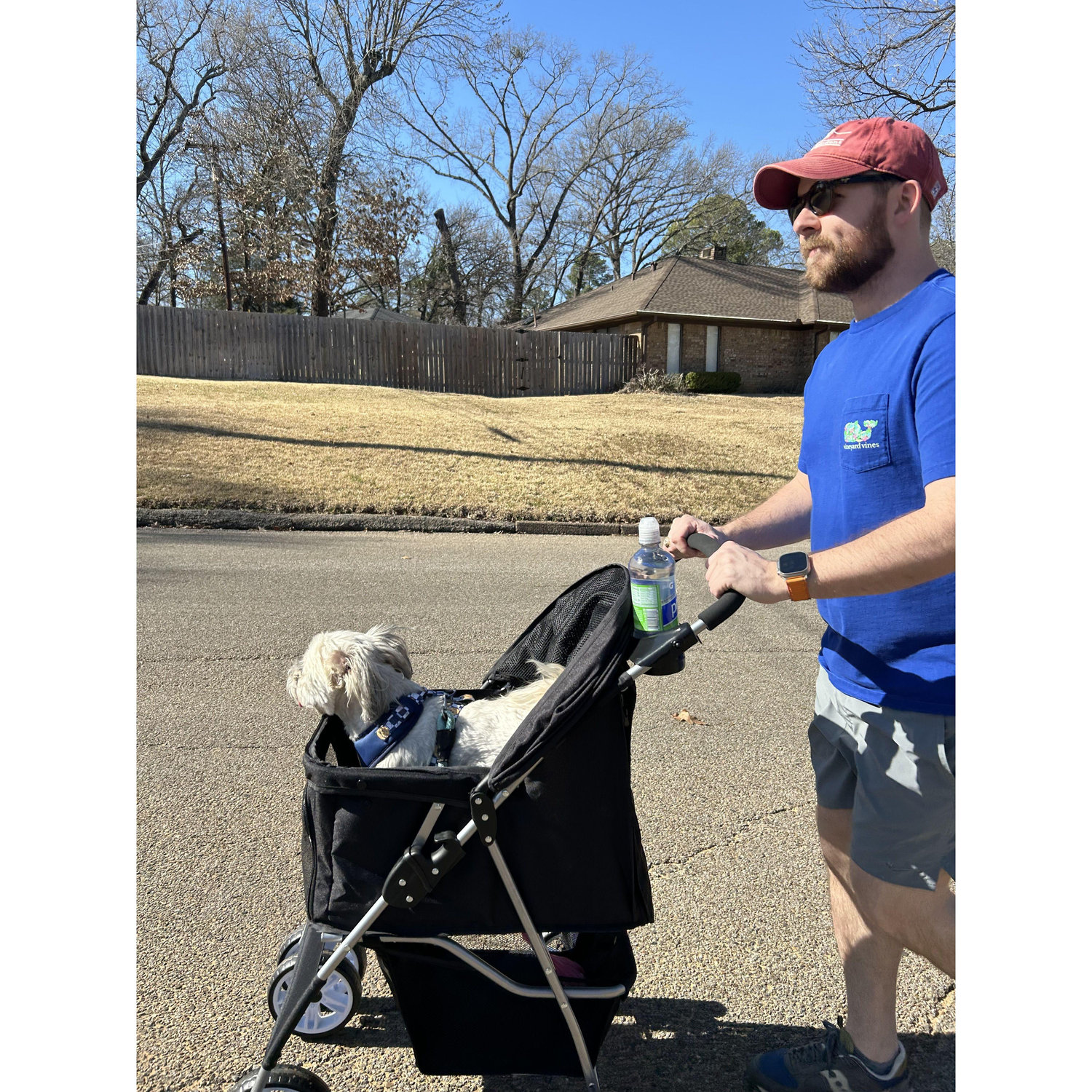 Long walks in the neighborhood with our little white dog!