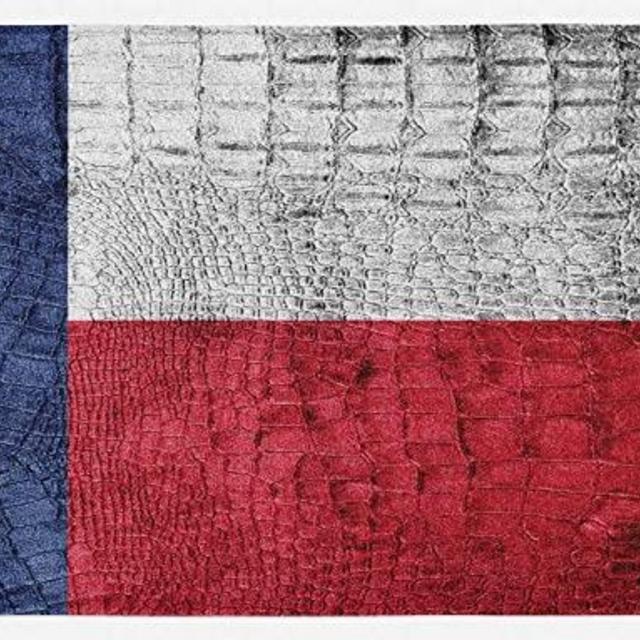 Lunarable Western Kitchen Mat, Texas State Flag Painted on Crocodile Snake Skin Patriotic Emblem Image, Plush Decorative Kitchen Mat with Non Slip Backing, 47" X 19", Ruby Dark Blue White