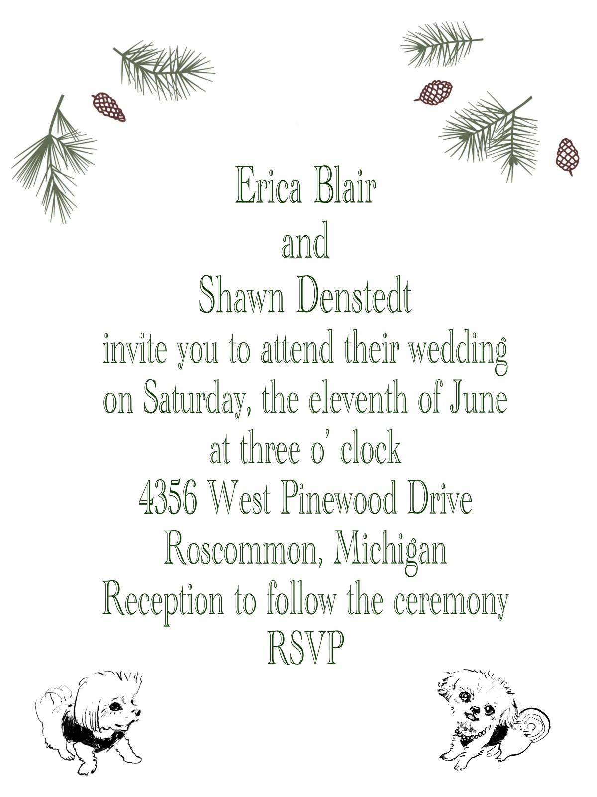 The Wedding Website of Erica Blair and Shawn Denstedt