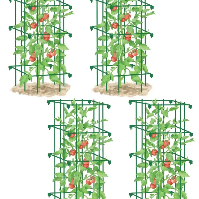 Tomato Cages, Set of 4