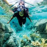 Discovery Cove
