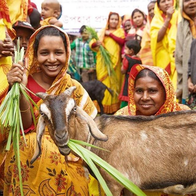 Give the Gift of a Goat