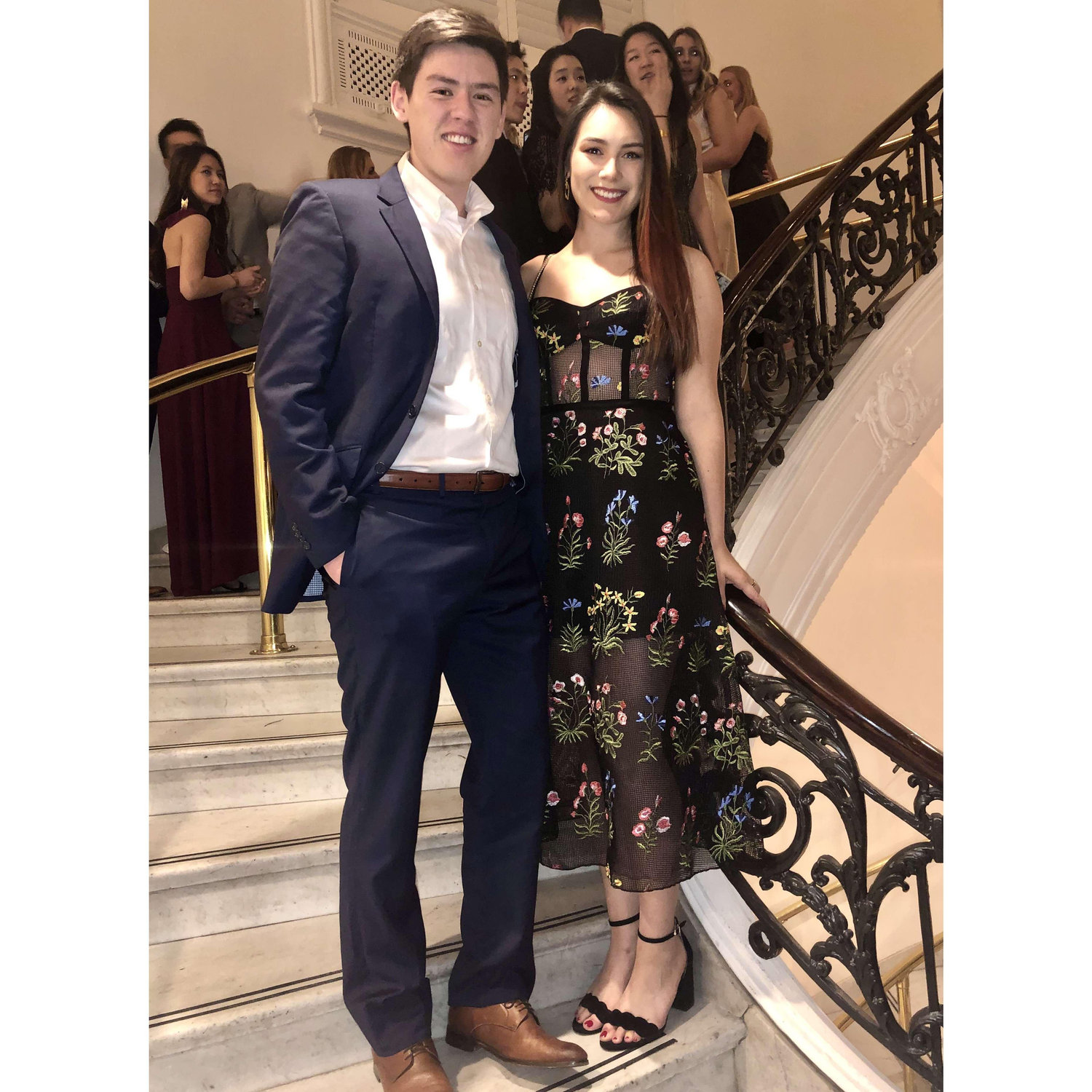 "Odontoblast" formal 