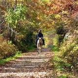 Air Line State Park Trail
