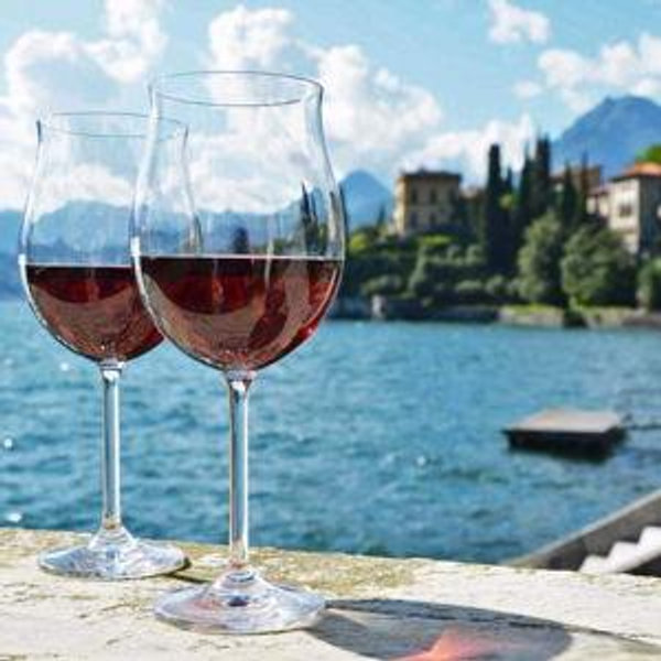 Wine Tasting in Lake Garda