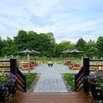 The Vineyard At Windham
