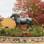 St. James Farm Forest Preserve
