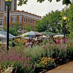 The Fayetteville Farmers Market