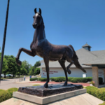 Kentucky Horse Park