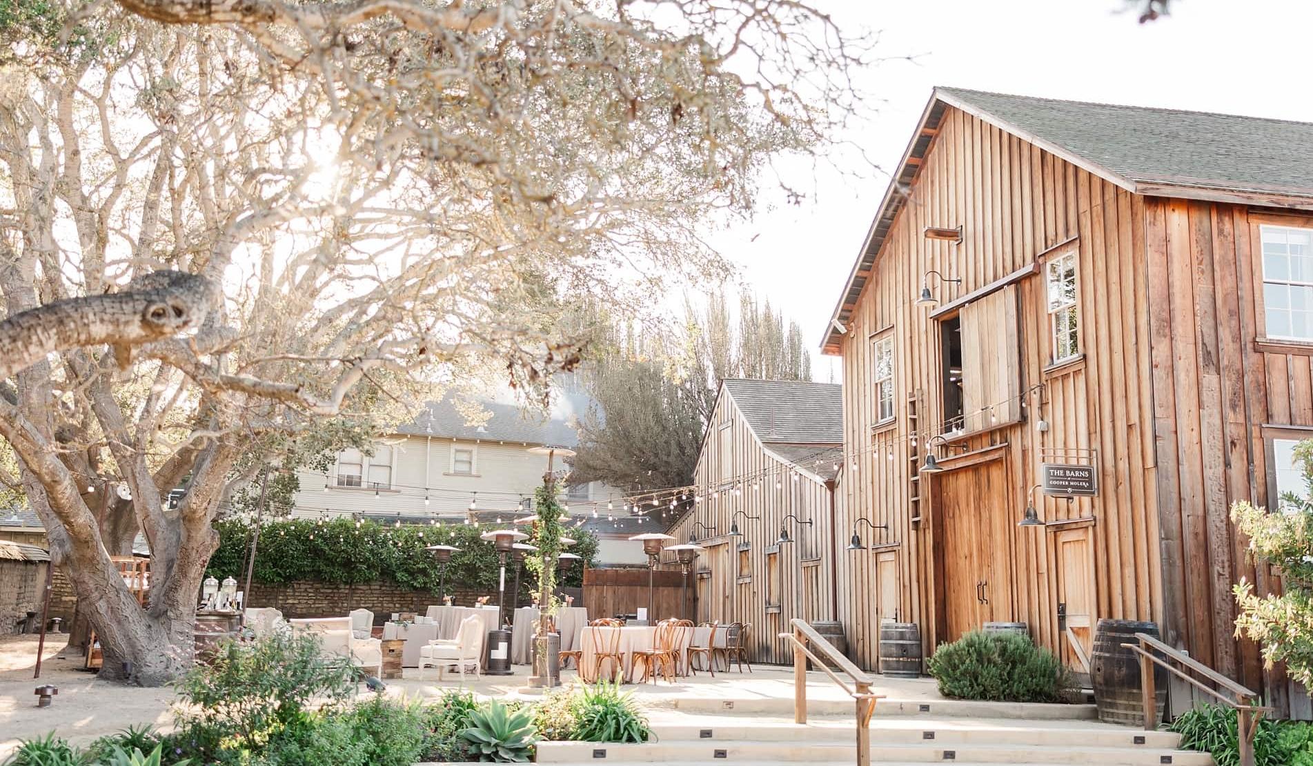 The Wedding Website of Shae Scarr and Andrew Mendonca